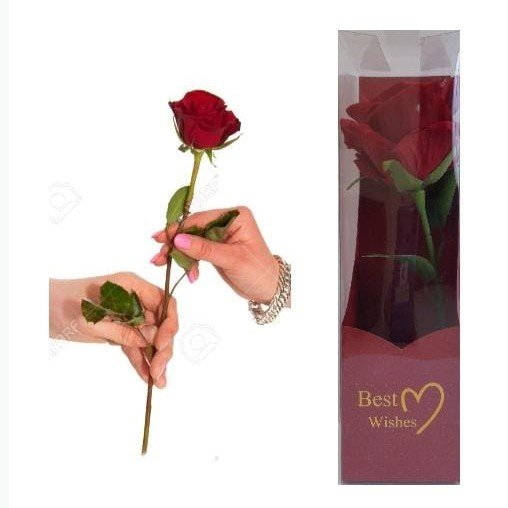 Caja de rosa BEST WISHES