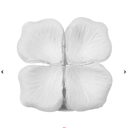 petalos de rosa blancos