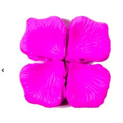 Pétalos de rosa purpura