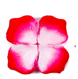 Pétalos de rosa rosa rojos