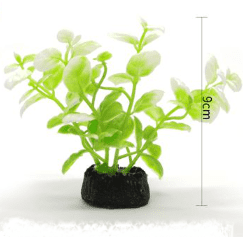 PLANTA ACUATICA