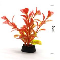 PLANTA ACUATICA