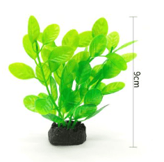 PLANTA ACUATICA