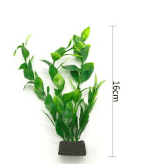 PLANTA ACUATICA