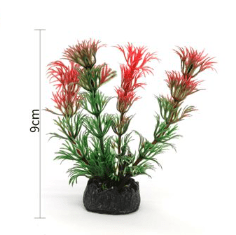 PLANTA ACUATICA