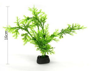 PLANTA ACUATICA