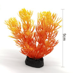 PLANTA ACUATICA