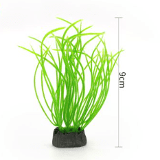 PLANTA ACUATICA