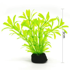 PLANTA ACUATICA