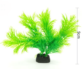 PLANTA ACUATICA