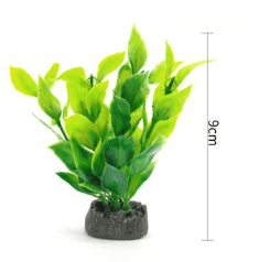PLANTA ACUATICA