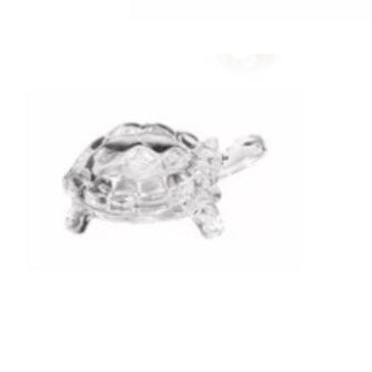 Tortuga de vidrio XS